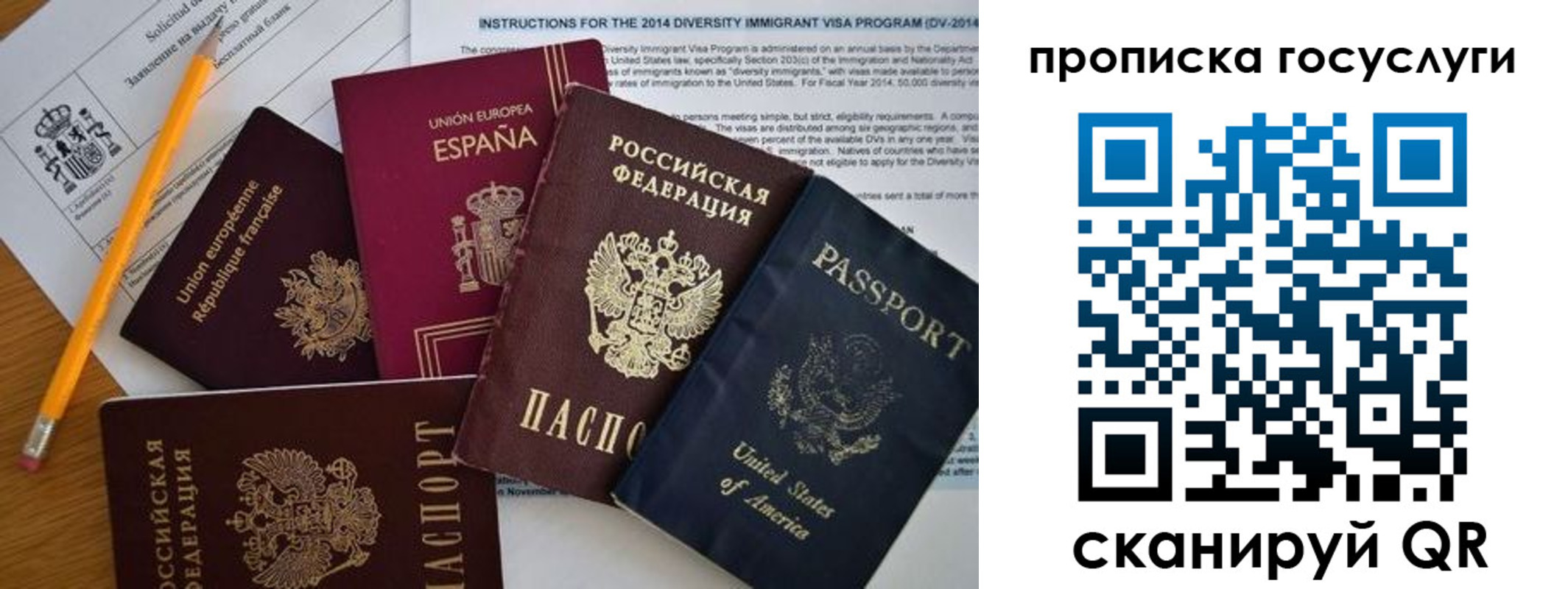 прописка гарантия в Высоковске